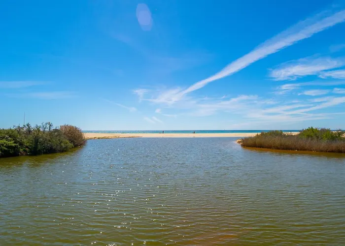 Magnifico Perto Da アパート *